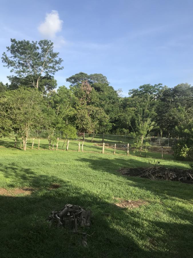 Villa Segura Manuel Antonio, 奎波斯城 外观 照片